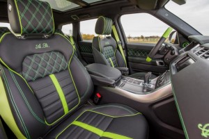 style-black-and-green-sedenie